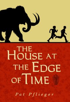 cover of The House at the Edge of Time